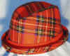 tartanFULLNEWCAS.jpg (133396 bytes)
